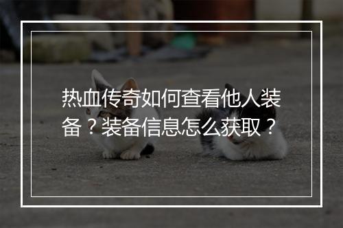 热血传奇如何查看他人装备？装备信息怎么获取？