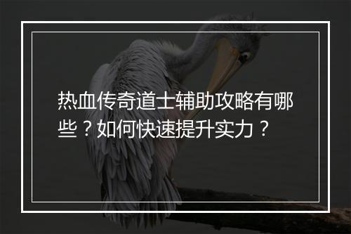 热血传奇道士辅助攻略有哪些？如何快速提升实力？