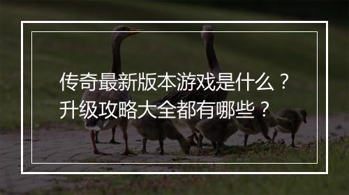 传奇最新版本游戏是什么？升级攻略大全都有哪些？