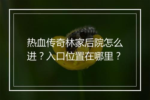 热血传奇林家后院怎么进？入口位置在哪里？