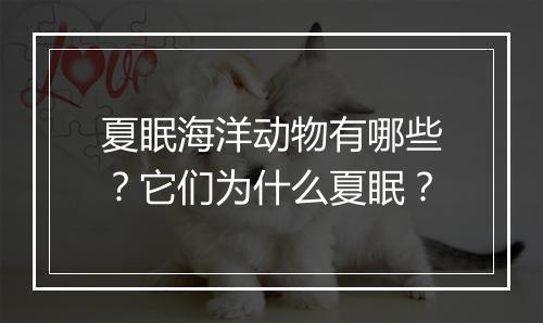 夏眠海洋动物有哪些？它们为什么夏眠？