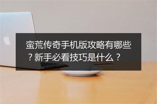 蛮荒传奇手机版攻略有哪些？新手必看技巧是什么？