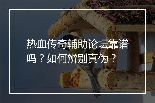 热血传奇辅助论坛靠谱吗？如何辨别真伪？