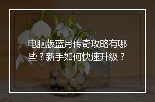电脑版蓝月传奇攻略有哪些？新手如何快速升级？