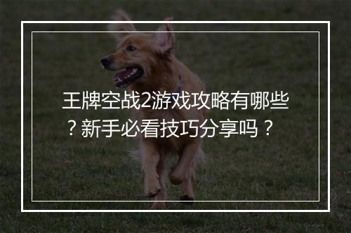 王牌空战2游戏攻略有哪些？新手必看技巧分享吗？