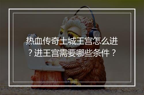 热血传奇土城王宫怎么进？进王宫需要哪些条件？