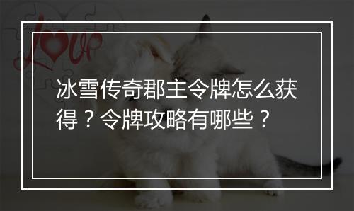 冰雪传奇郡主令牌怎么获得？令牌攻略有哪些？