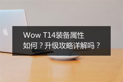 Wow T14装备属性如何？升级攻略详解吗？
