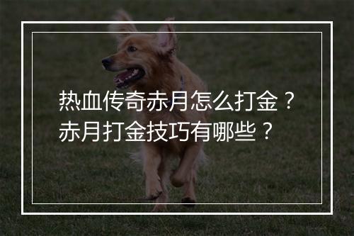 热血传奇赤月怎么打金？赤月打金技巧有哪些？