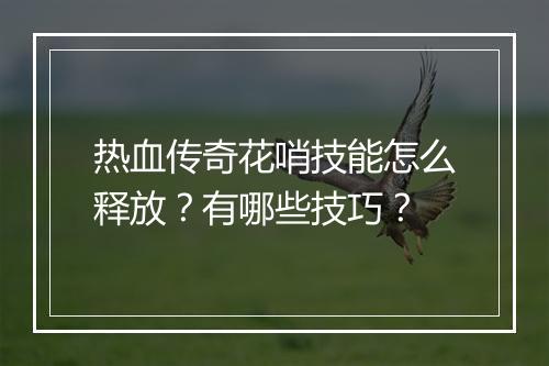 热血传奇花哨技能怎么释放？有哪些技巧？