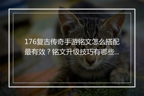 176复古传奇手游铭文怎么搭配最有效？铭文升级技巧有哪些？
