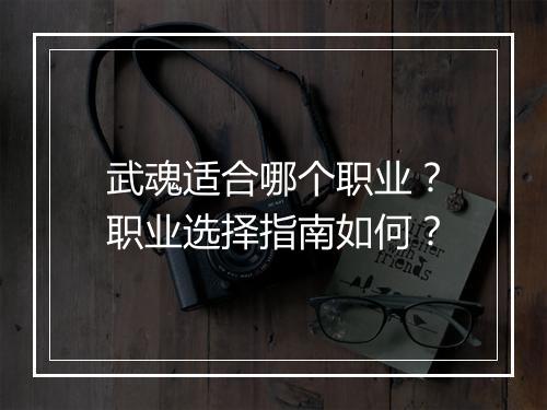 武魂适合哪个职业？职业选择指南如何？