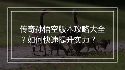 传奇孙悟空版本攻略大全？如何快速提升实力？