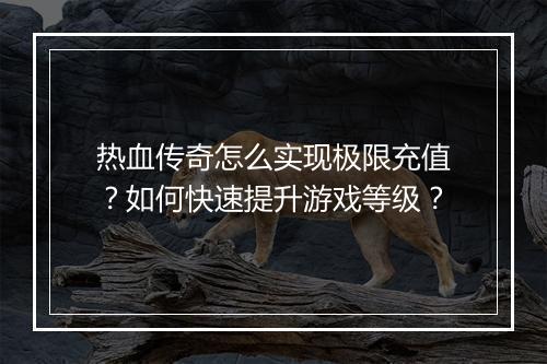 热血传奇怎么实现极限充值？如何快速提升游戏等级？