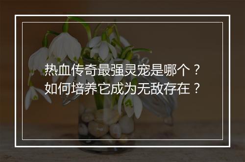 热血传奇最强灵宠是哪个？如何培养它成为无敌存在？