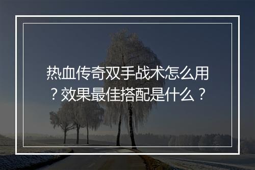 热血传奇双手战术怎么用？效果最佳搭配是什么？