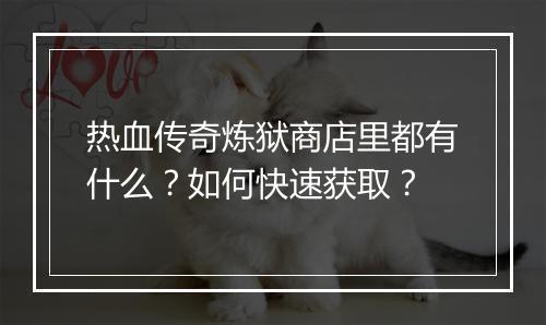 热血传奇炼狱商店里都有什么？如何快速获取？