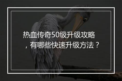 热血传奇50级升级攻略，有哪些快速升级方法？