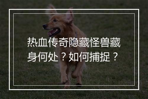 热血传奇隐藏怪兽藏身何处？如何捕捉？