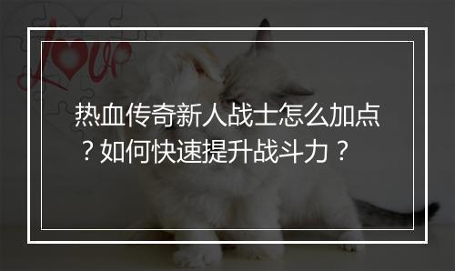 热血传奇新人战士怎么加点？如何快速提升战斗力？