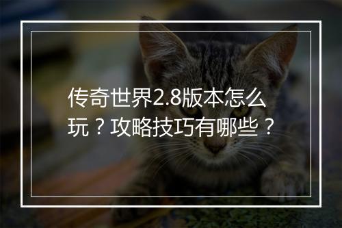 传奇世界2.8版本怎么玩？攻略技巧有哪些？