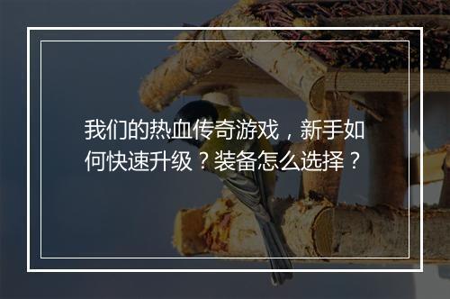 我们的热血传奇游戏，新手如何快速升级？装备怎么选择？
