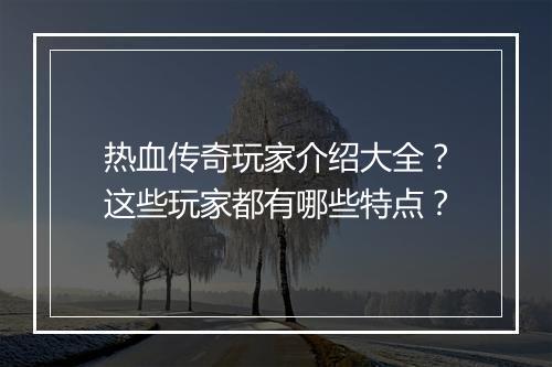 热血传奇玩家介绍大全？这些玩家都有哪些特点？