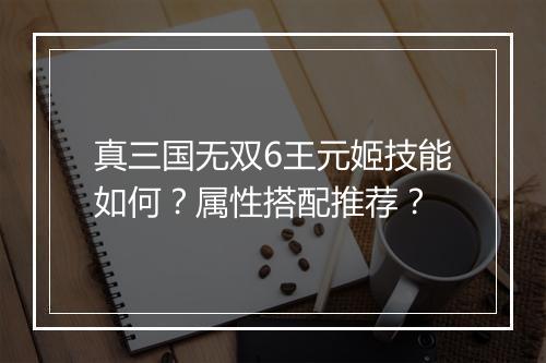 真三国无双6王元姬技能如何？属性搭配推荐？