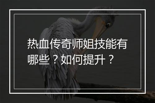 热血传奇师姐技能有哪些？如何提升？