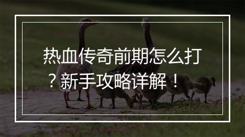热血传奇前期怎么打？新手攻略详解！