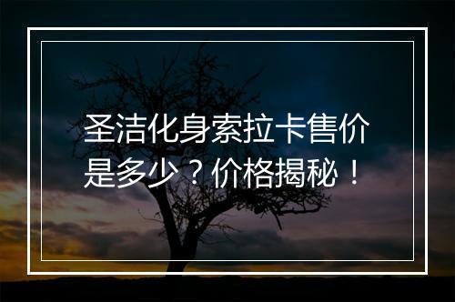 圣洁化身索拉卡售价是多少？价格揭秘！