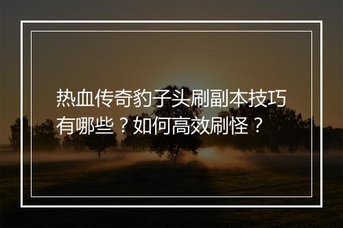 热血传奇豹子头刷副本技巧有哪些？如何高效刷怪？