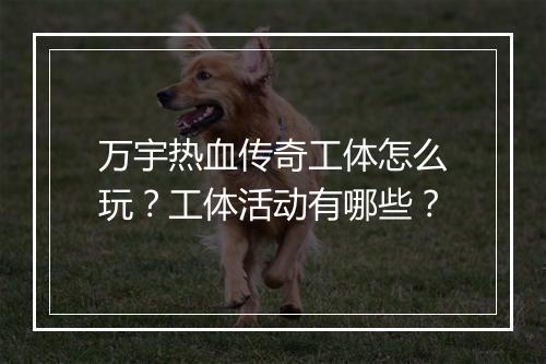 万宇热血传奇工体怎么玩?工体活动有哪些?