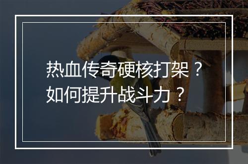 热血传奇硬核打架？如何提升战斗力？