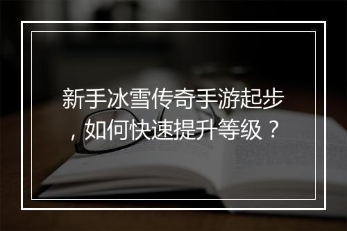新手冰雪传奇手游起步，如何快速提升等级？