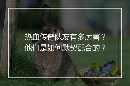 热血传奇队友有多厉害？他们是如何默契配合的？