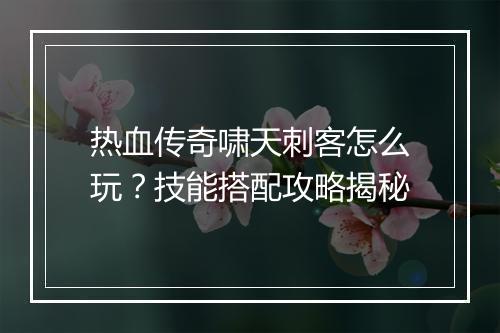 热血传奇啸天刺客怎么玩？技能搭配攻略揭秘