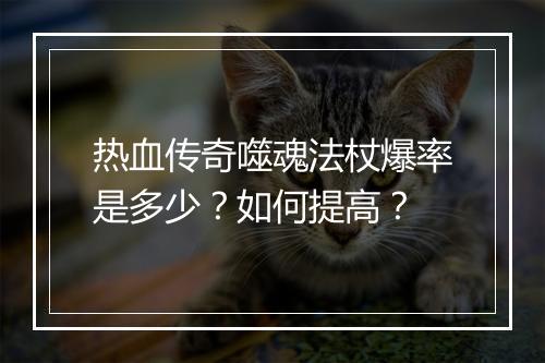 热血传奇噬魂法杖爆率是多少？如何提高？