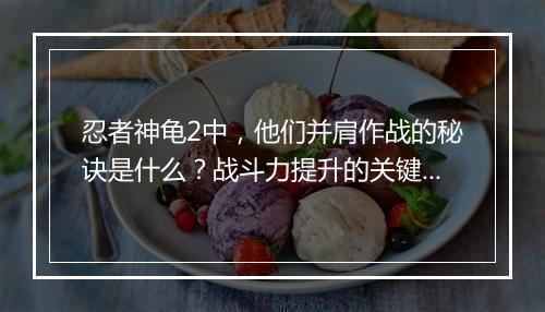 忍者神龟2中，他们并肩作战的秘诀是什么？战斗力提升的关键在哪？