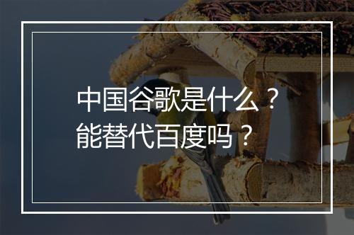 中国谷歌是什么？能替代百度吗？