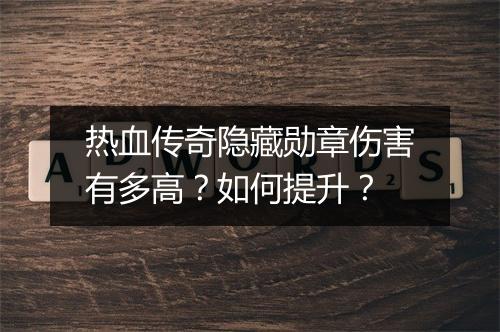 热血传奇隐藏勋章伤害有多高？如何提升？