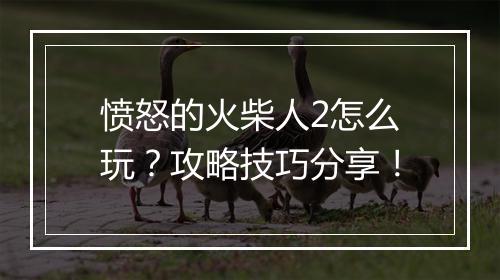 愤怒的火柴人2怎么玩？攻略技巧分享！