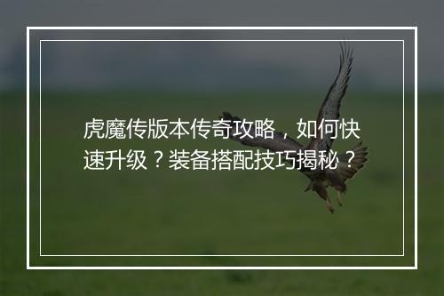 虎魔传版本传奇攻略，如何快速升级？装备搭配技巧揭秘？
