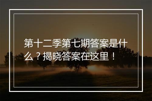 第十二季第七期答案是什么？揭晓答案在这里！