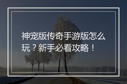 神宠版传奇手游版怎么玩？新手必看攻略！
