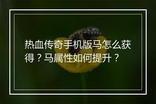 热血传奇手机版马怎么获得？马属性如何提升？