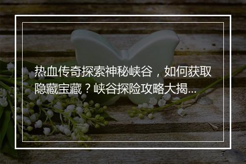 热血传奇探索神秘峡谷，如何获取隐藏宝藏？峡谷探险攻略大揭秘！