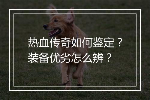 热血传奇如何鉴定？装备优劣怎么辨？