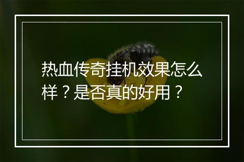 热血传奇挂机效果怎么样？是否真的好用？