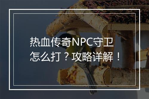 热血传奇NPC守卫怎么打？攻略详解！